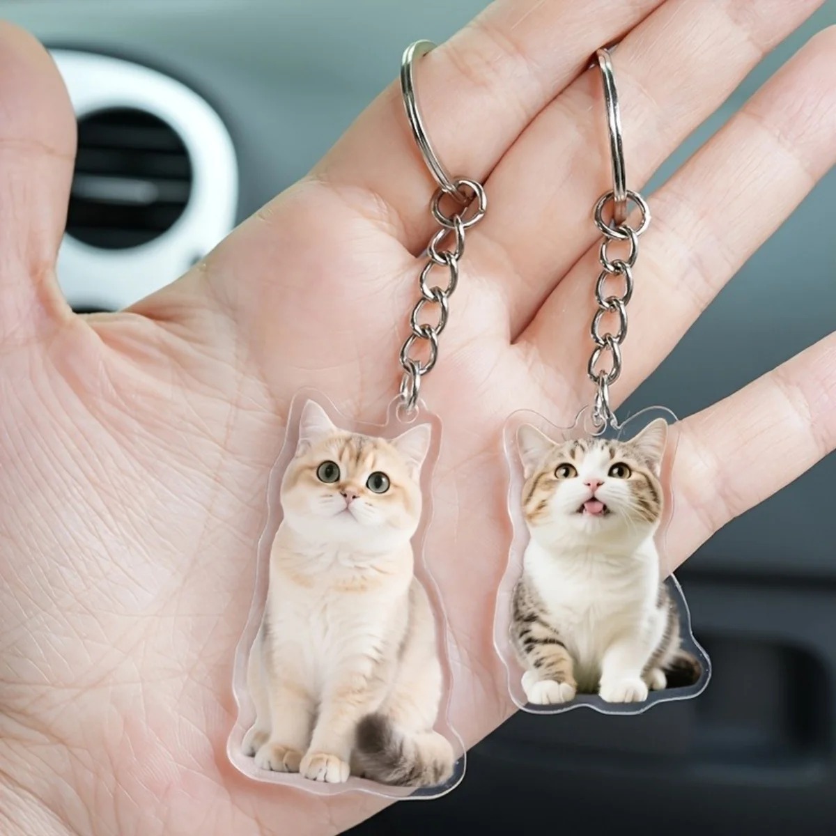 Özel Kesim Akrilik Anahtarlık, - Pet Portrait Custom incelemesi ve fiyatı